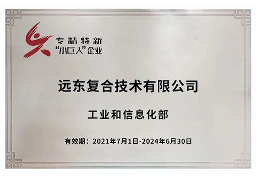 JIUYOU.COM·(中国区)官方复合技术专精特新小巨人企业