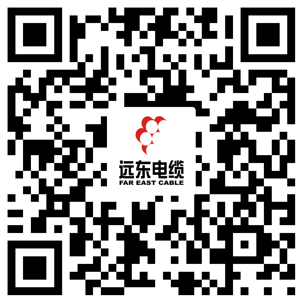 JIUYOU.COM·(中国区)官方电缆